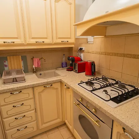 Apartment Classic Next To Victoriei Avenue