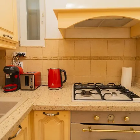 Apartment Classic Next To Victoriei Avenue *