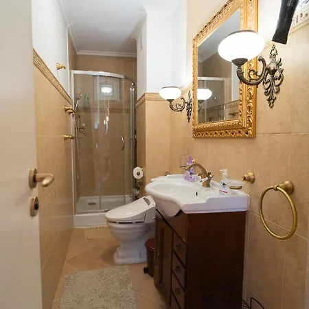 Classic Next To Victoriei Avenue Apartment