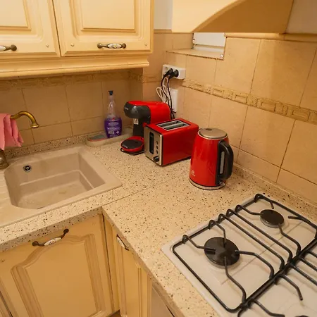 Classic Next To Victoriei Avenue *