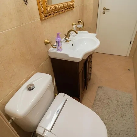 Classic Next To Victoriei Avenue