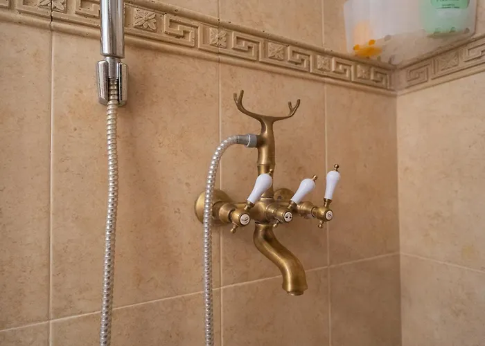 Classic Next To Victoriei Avenue *