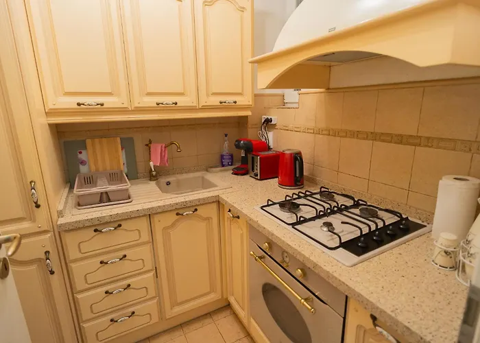 Apartment Classic Next To Victoriei Avenue