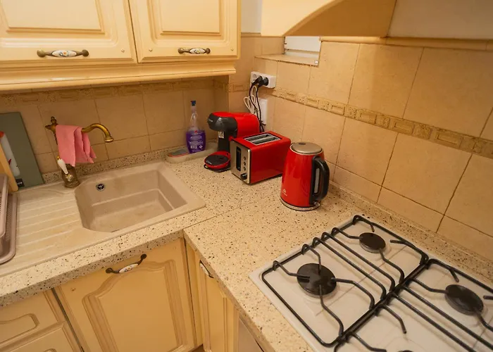 Classic Next To Victoriei Avenue *