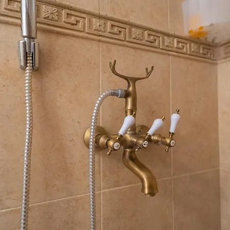 Classic Next To Victoriei Avenue *